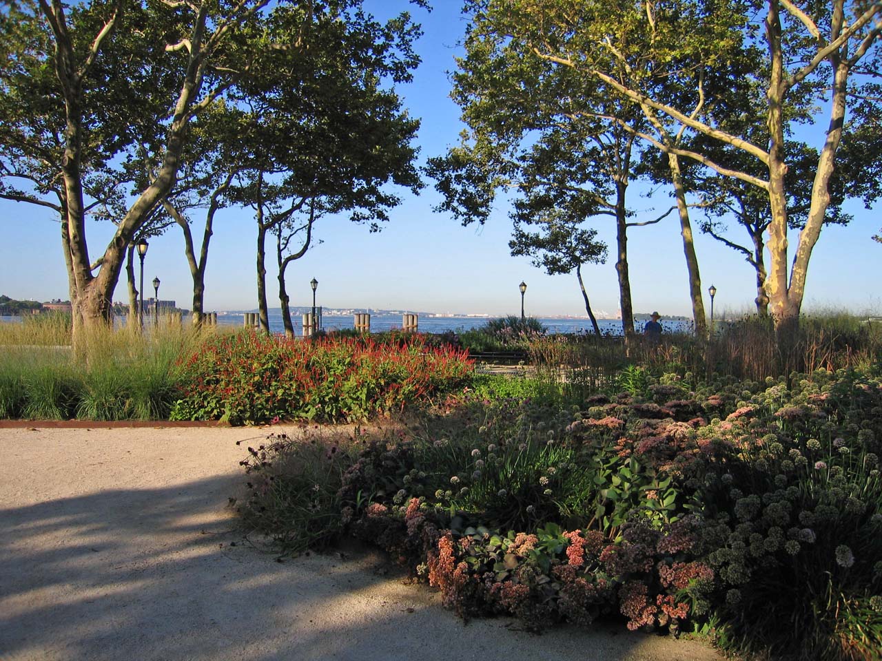 a garden diary The Battery Gardens